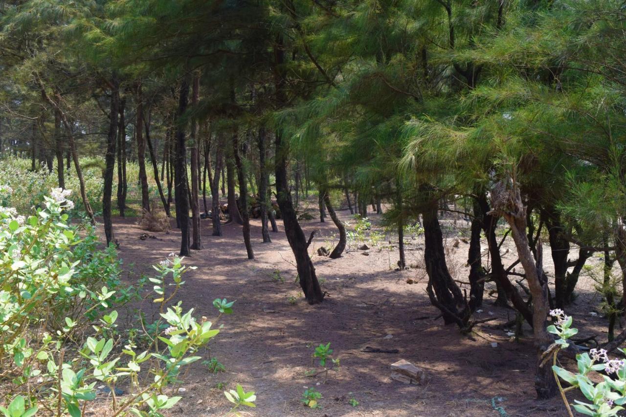 Rama Niwas Beach Home Stay Pawas Buitenkant foto