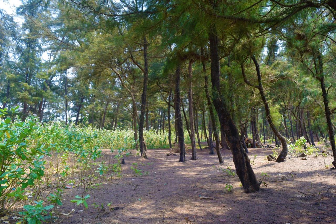 Rama Niwas Beach Home Stay Pawas Buitenkant foto